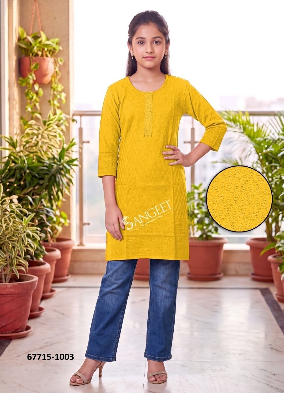 CHIKANKARI GIRLS KURTI - Catalog # 67715 (Set of 10 Readymade Women's Kurtis / Tops) CHIKANKARI GIRLS KURTI - Catalog # 67715 (Set of 10 Readymade Women's Kurtis / Tops)