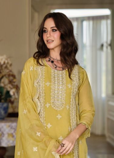 AAHIRA - CATALOG # 50259 (SET OF 3 READYMADE SUITS)