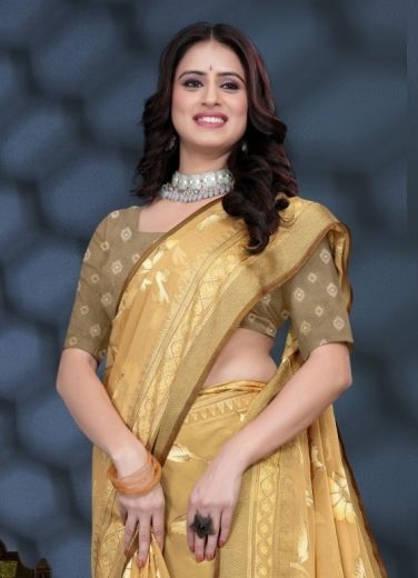 COLOUR'S OF 35238 - Catalog # 62649 (Set of 4 Sarees) MADE IN INDIA BY Vipul Fashions
