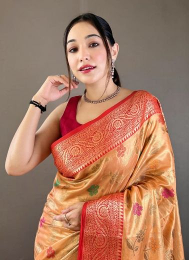 SABARI & SITARA JAAL - Catalog # 64305 (Set of 6 Sarees)