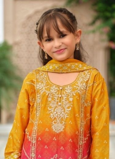 ROYAL BLOSSOMS - Catalog # 65100 (Set of 3 Readymade Salwar Suits)