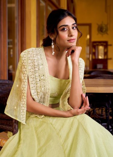 SERIES 1119 - Catalog # 65957 (Set of 2 Readymade Lehengas)